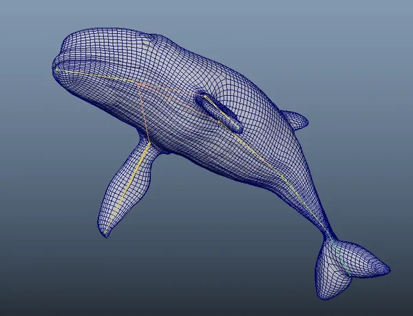Meshyで生成し、ボーンを入れたクジラのモデル